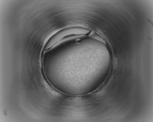 X0000099481028200805161130