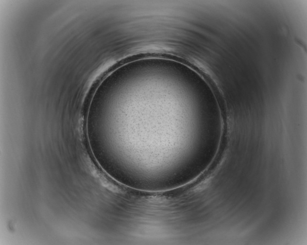 X0000099481029200805161130
