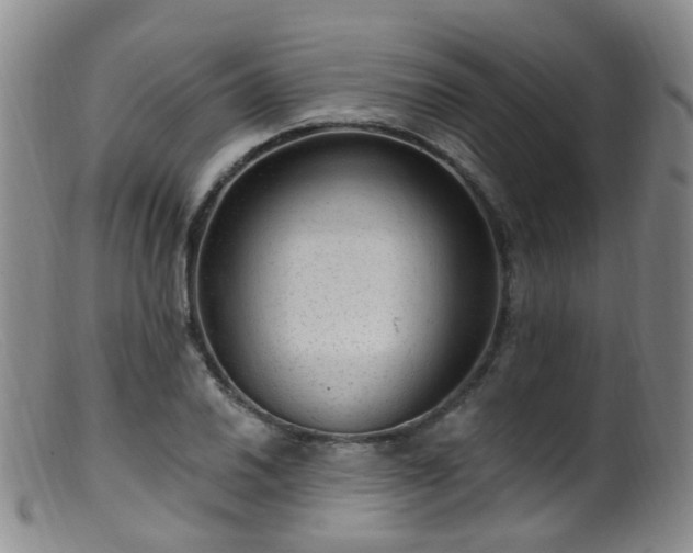 X0000099481030200805161130