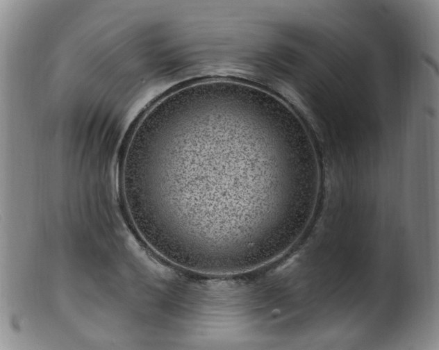 X0000099481032200805161130
