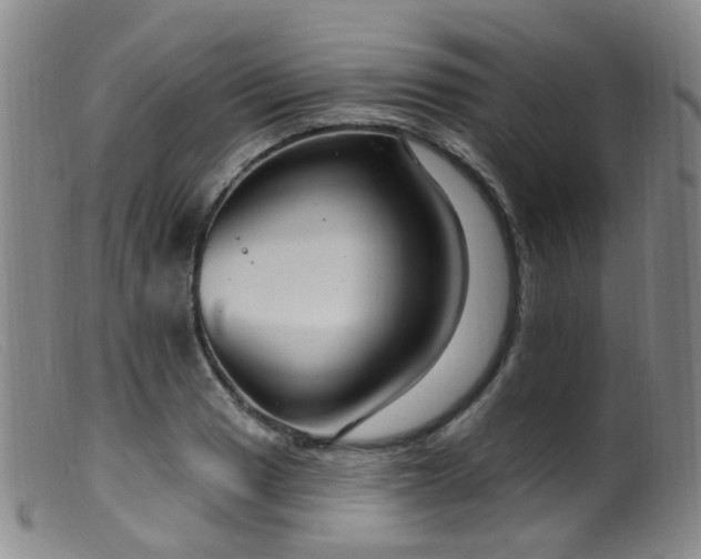 X0000099481033200805161130