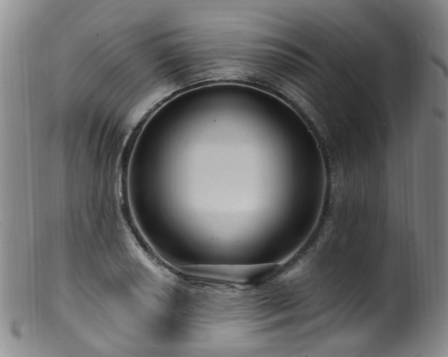 X0000099481034200805161130