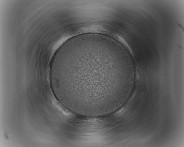 X0000099481035200805161130