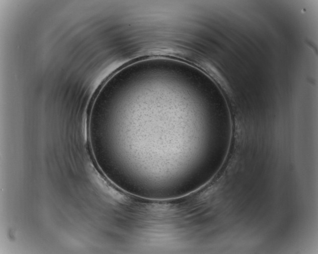 X0000099481036200805161130