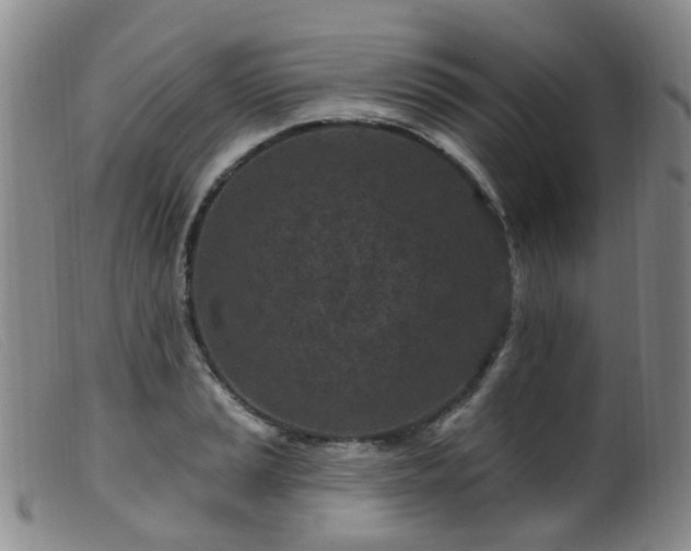 X0000099481037200805161130