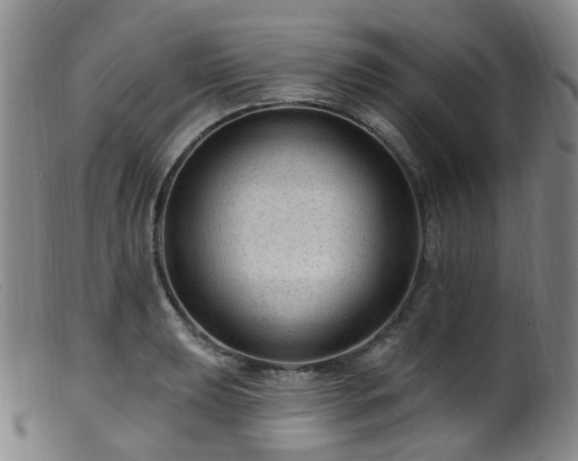X0000099481039200805161130