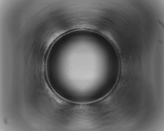 X0000099481040200805161130