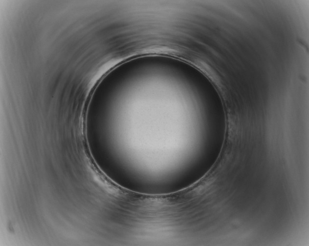 X0000099481044200805161130