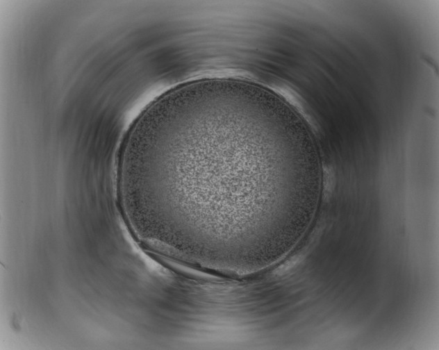 X0000099481046200805161130