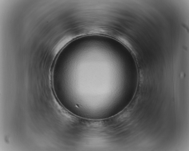 X0000099481047200805161130