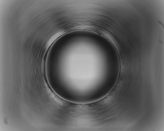 X0000099481050200805161130