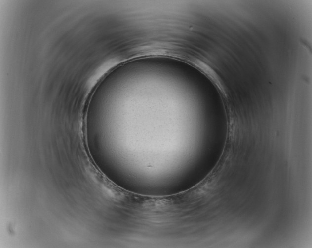 X0000099481051200805161130