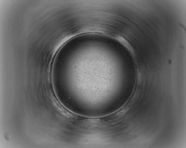X0000099481052200805161130