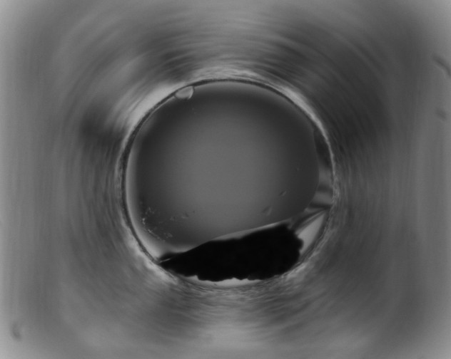 X0000099481053200805161130