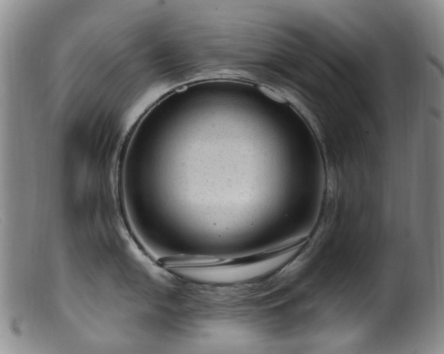X0000099481054200805161130