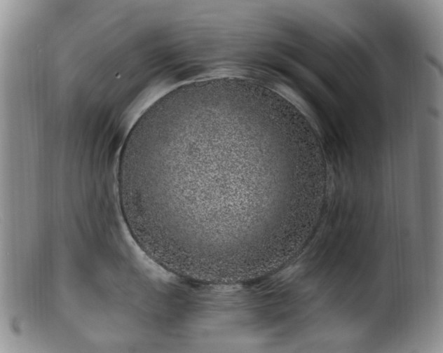 X0000099481055200805161130