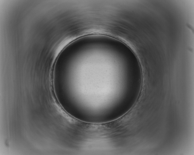 X0000099481056200805161130