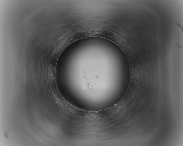 X0000099481058200805161129