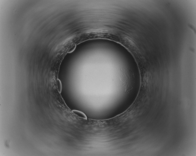 X0000099481062200805161129