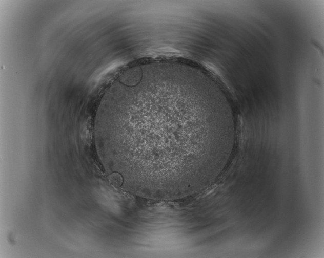 X0000099481063200805161129