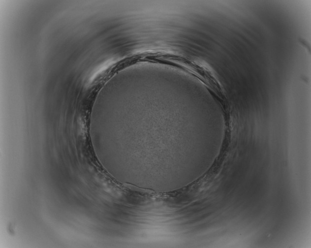 X0000099481064200805161129