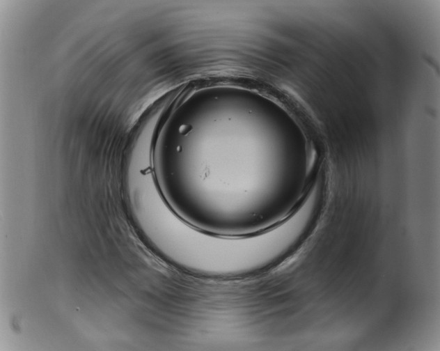 X0000099481065200805161129