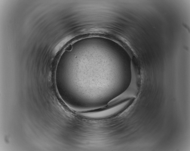 X0000099481066200805161129