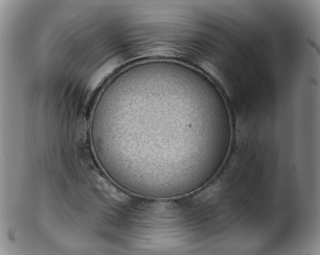 X0000099481067200805161129