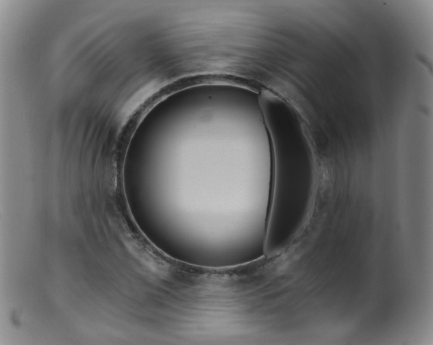 X0000099481069200805161129