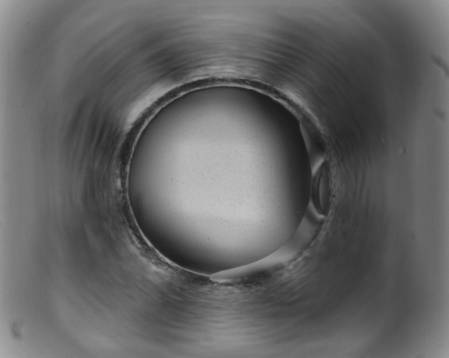X0000099481070200805161129