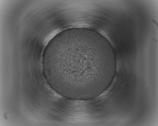 X0000099481071200805161129