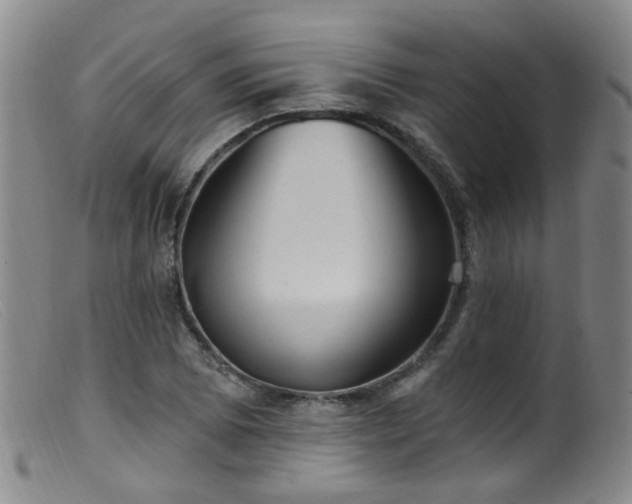 X0000099481073200805161129