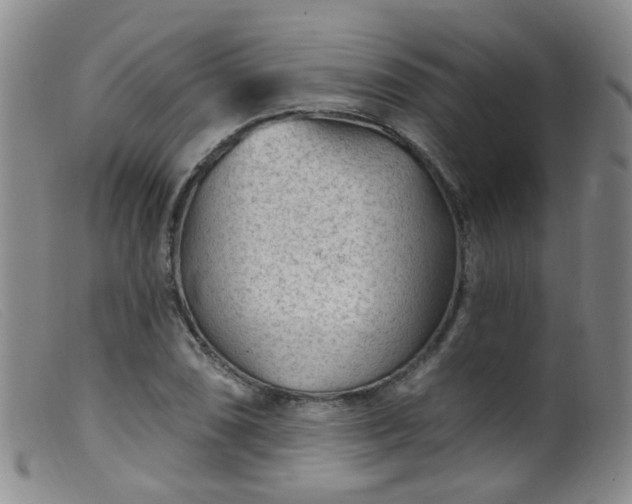 X0000099481074200805161129