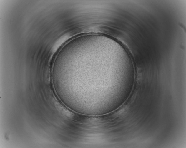 X0000099481075200805161129