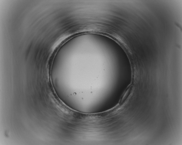X0000099481078200805161129