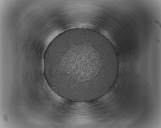 X0000099481079200805161129
