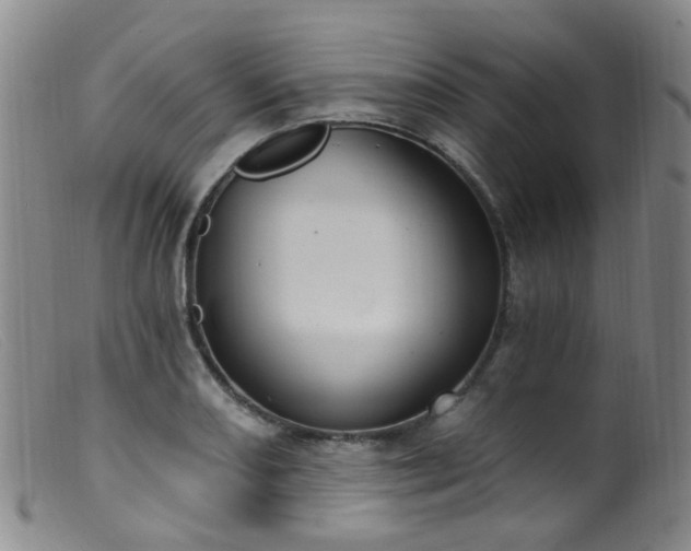 X0000099481082200805161129