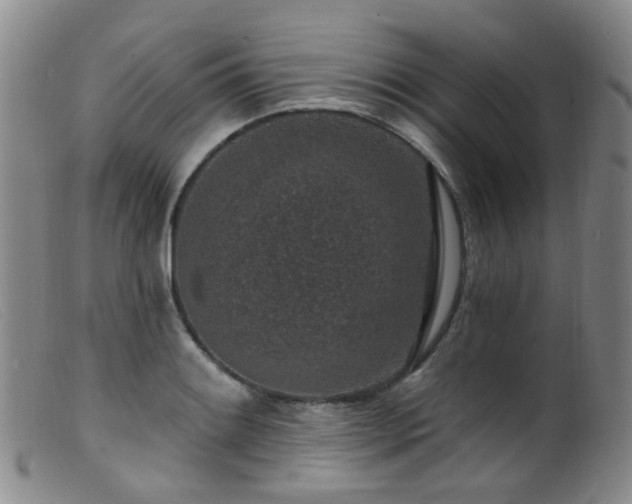 X0000099481084200805161129