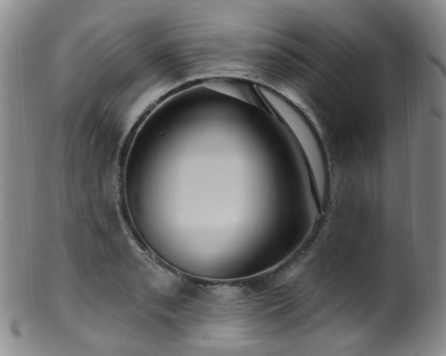 X0000099481085200805161129