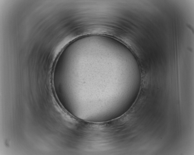 X0000099481086200805161129
