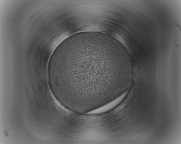 X0000099481087200805161129