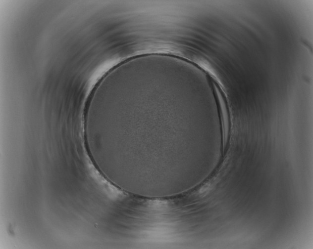 X0000099481088200805161129