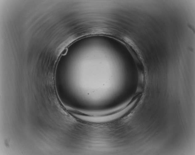 X0000099481089200805161129