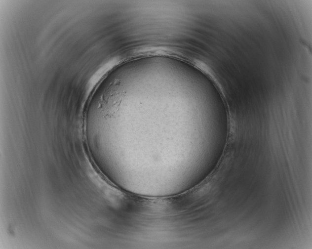 X0000099481090200805161129