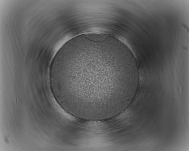 X0000099481091200805161129