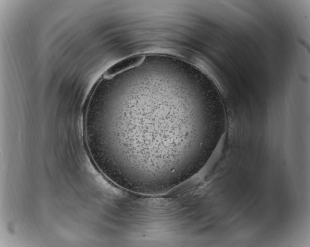 X0000099481092200805161129