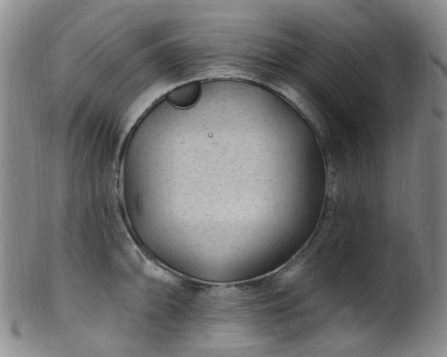 X0000099481094200805161129