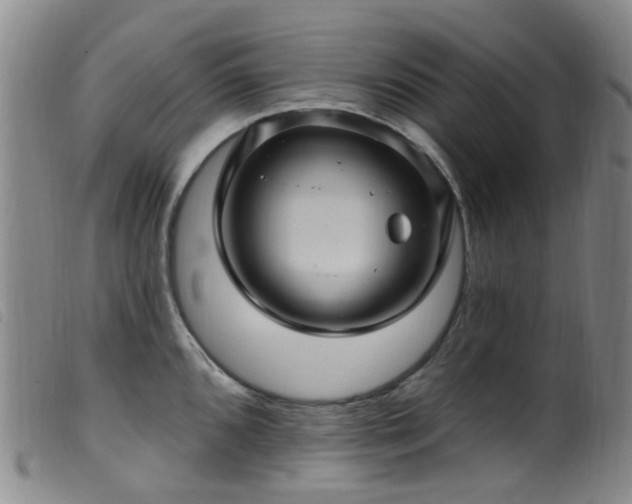 X0000099481096200805161129