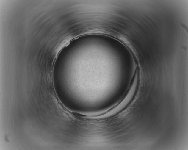 X0000099481097200805161129