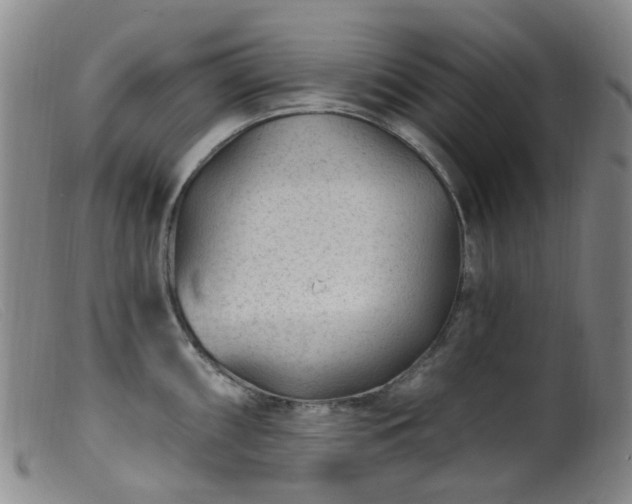 X0000099481098200805161129